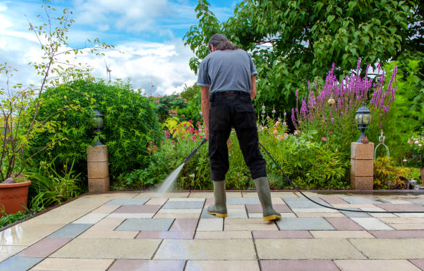 Best Soft Washing for Delicate Surfaces in Epworth, IA